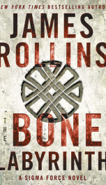 Cover The Bone Labyrinth